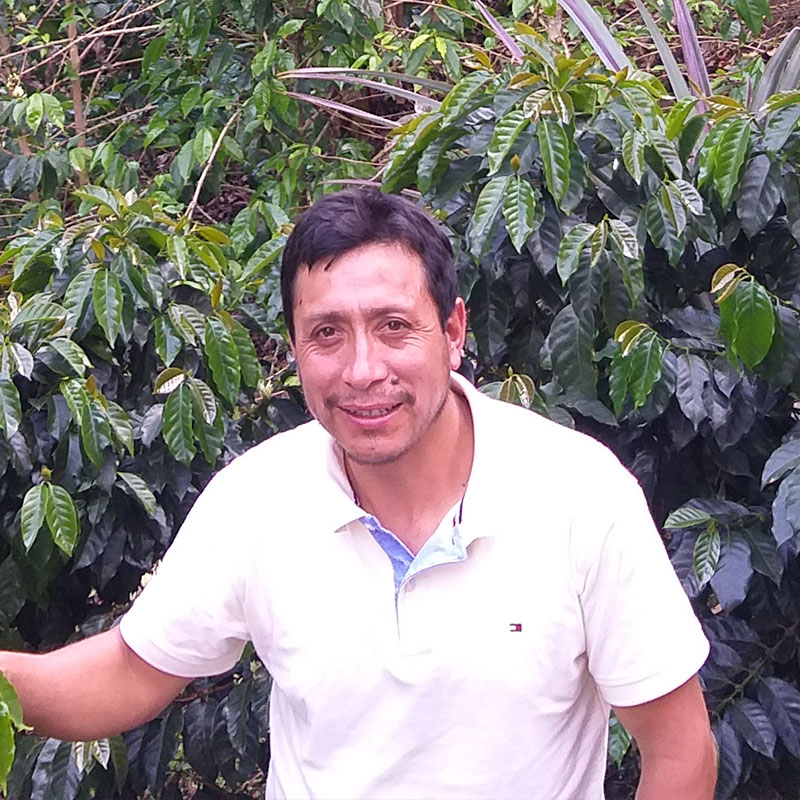 José Joel Julca
